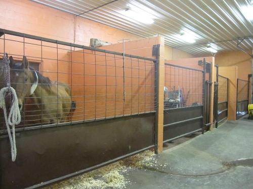 Horse facilities