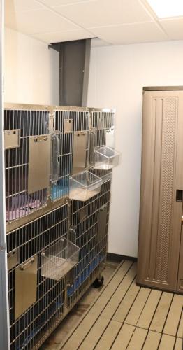 kennel room